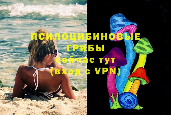 первитин Алексин