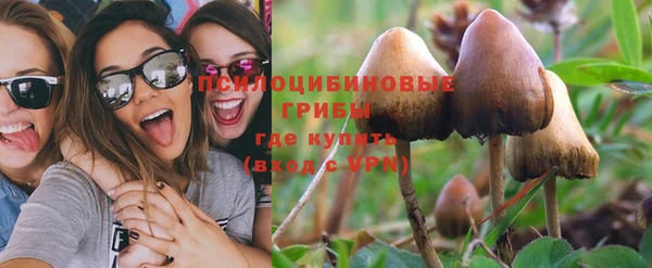 каннабис Алексеевка