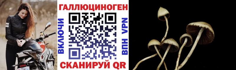 Псилоцибиновые грибы мицелий Татарск